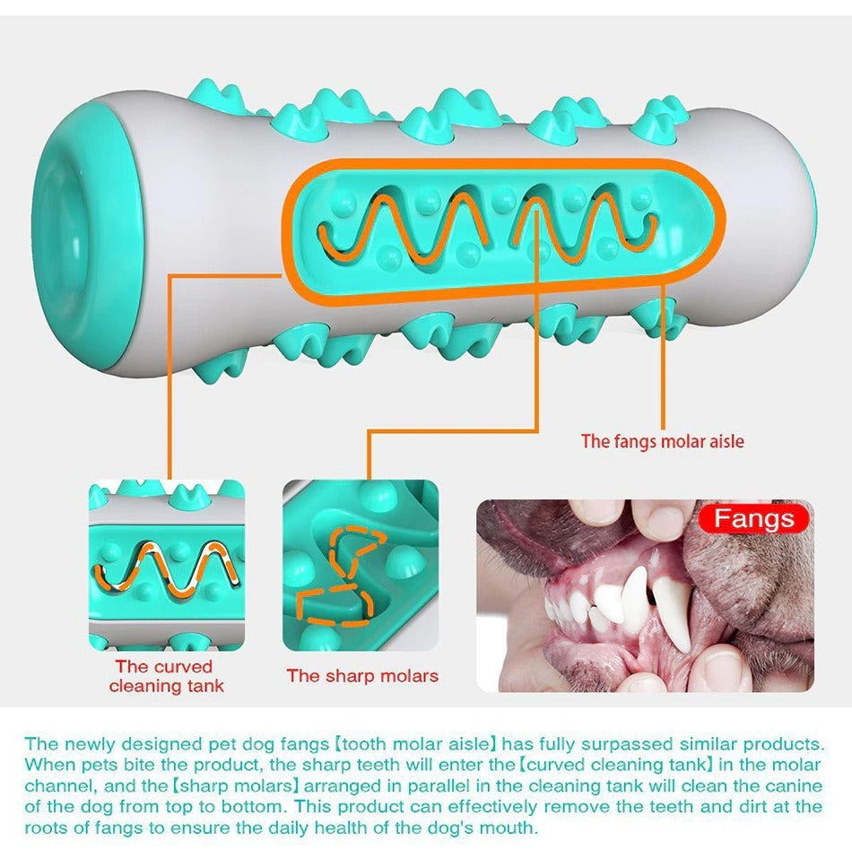 Dog Squeaky Toys For Aggressive Chewers - PAWCommand