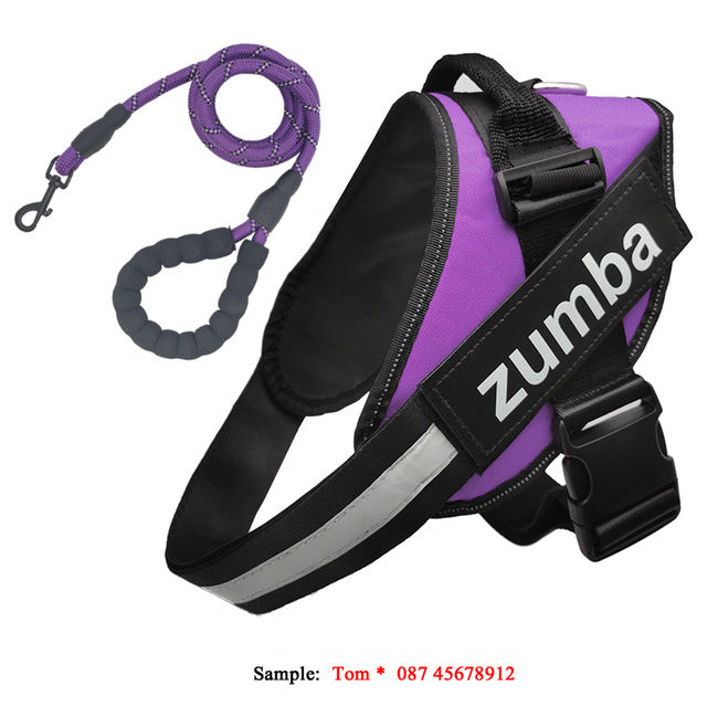 Strong Reflective Harness - PAWCommand
