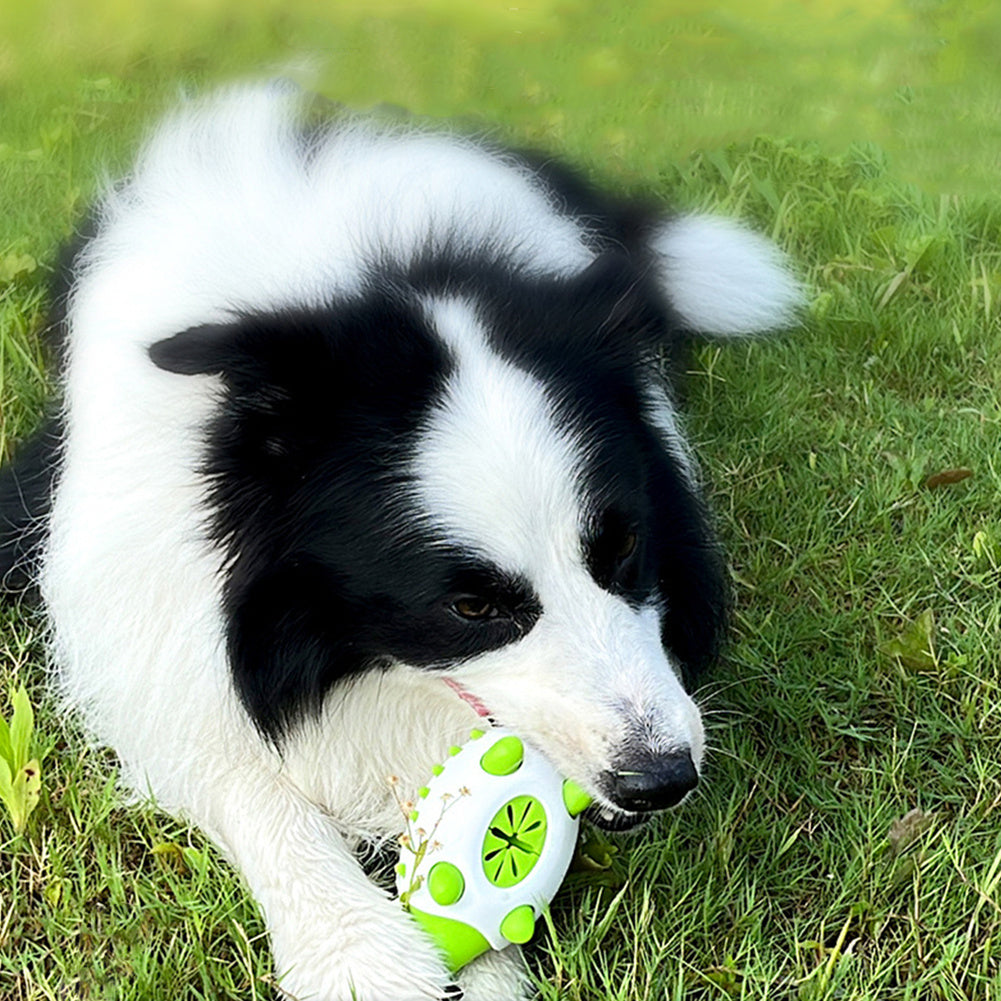 Interactive TPR Food toy - PAWCommand