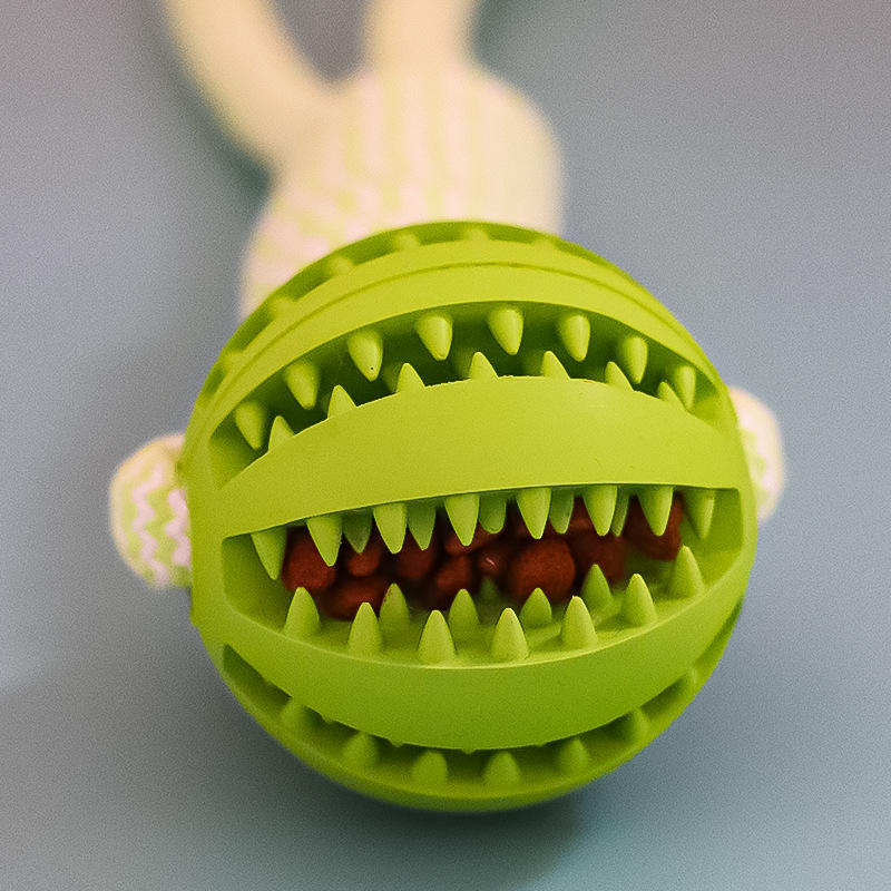 Tooth Cleaning rope - PAWCommand