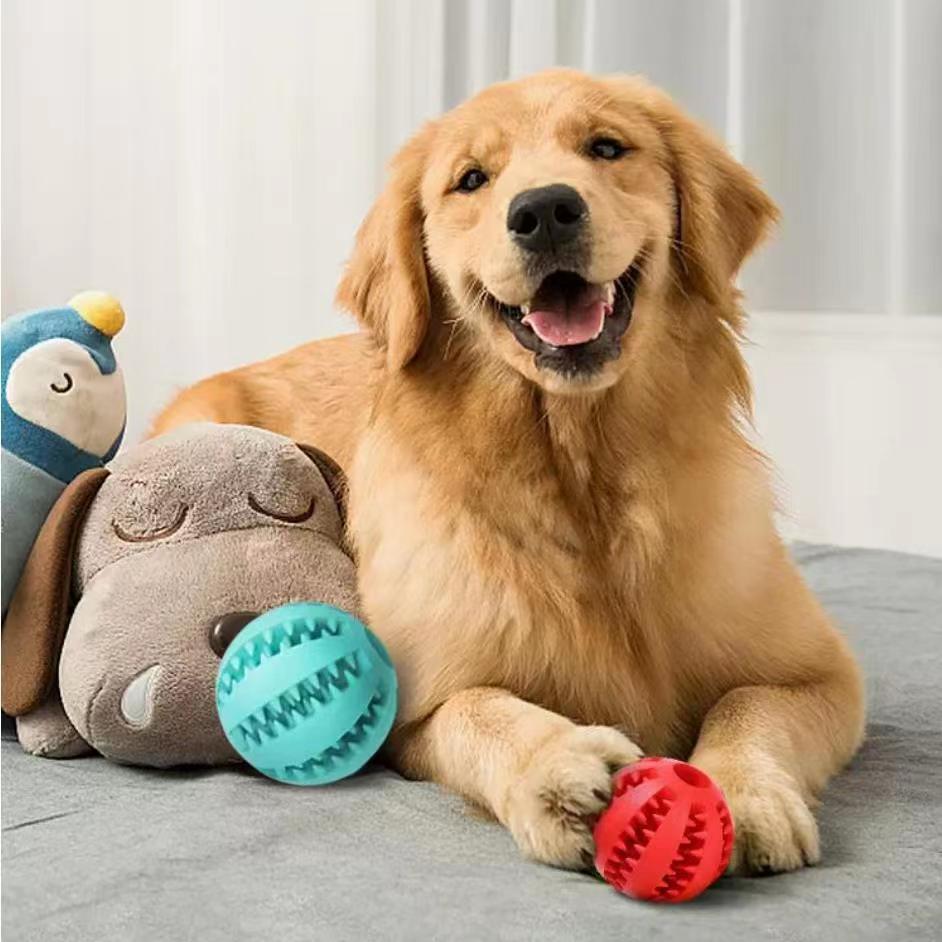 Tooth Cleaning rope - PAWCommand