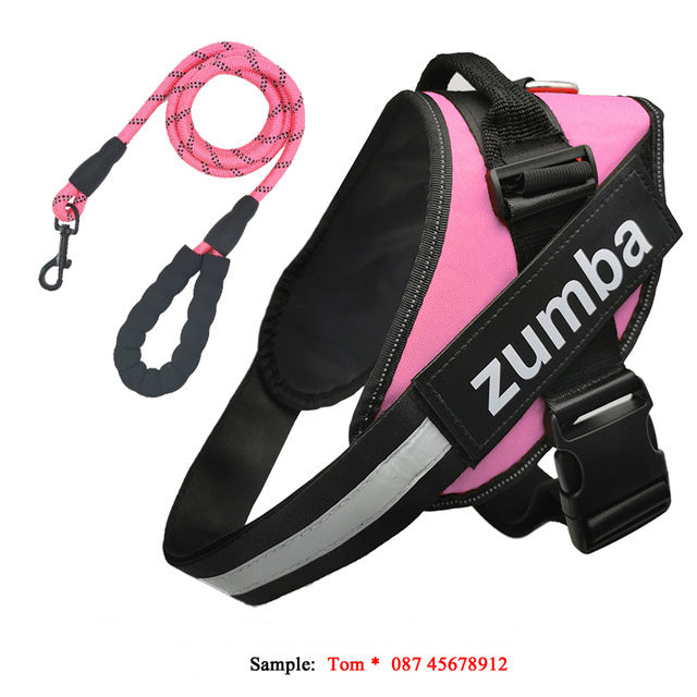 Strong Reflective Harness - PAWCommand