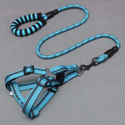 Durable no tangle dog lead + Starter harness - PAWCommand