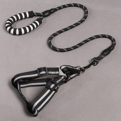 Durable no tangle dog lead + Starter harness - PAWCommand