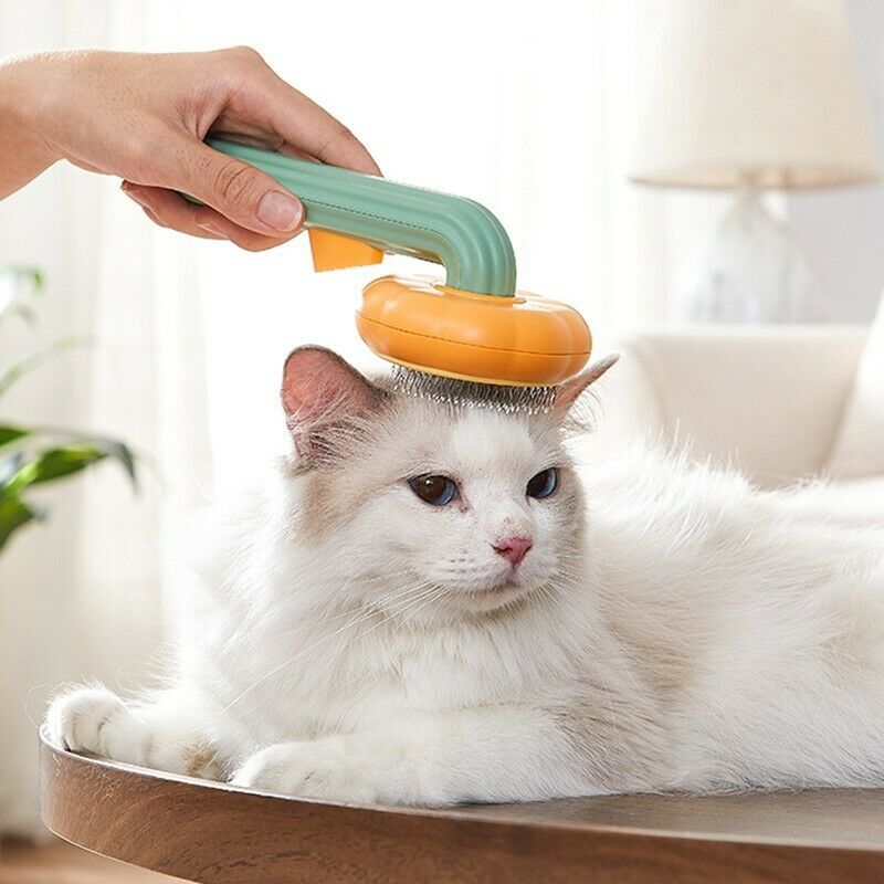 Slicker Brush pawcommand