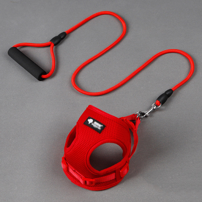 Dog leash & Harness Combo - PAWCommand