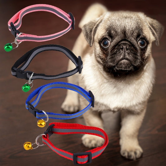 Fluorescent dog collar - PAWCommand