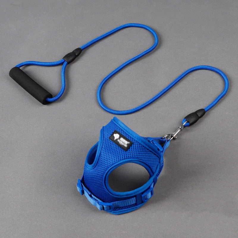 Dog leash & Harness Combo - PAWCommand