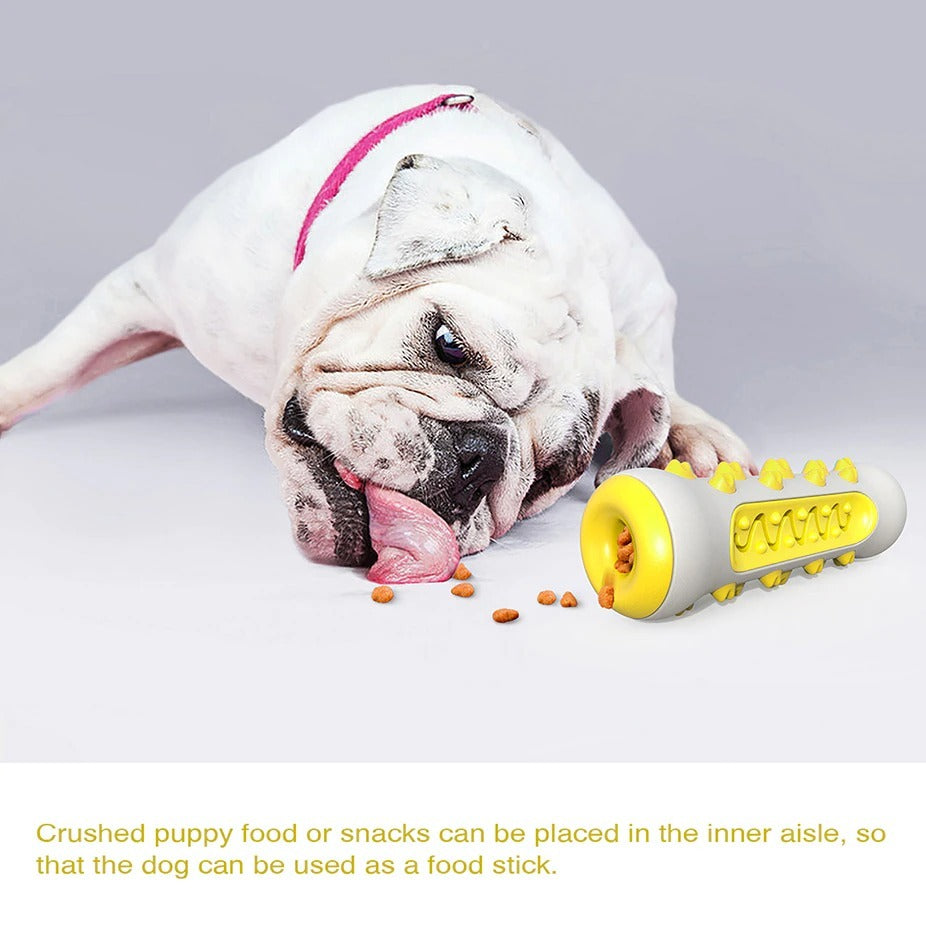 Dog Squeaky Toys For Aggressive Chewers - PAWCommand