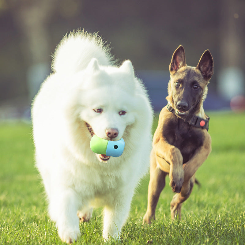 2 In 1 Toy Ball pawcommand
