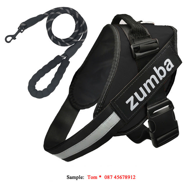 Strong Reflective Harness - PAWCommand