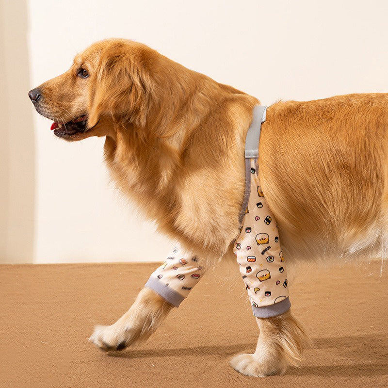 Dogs Knee Brac For Calluses - PAWCommand