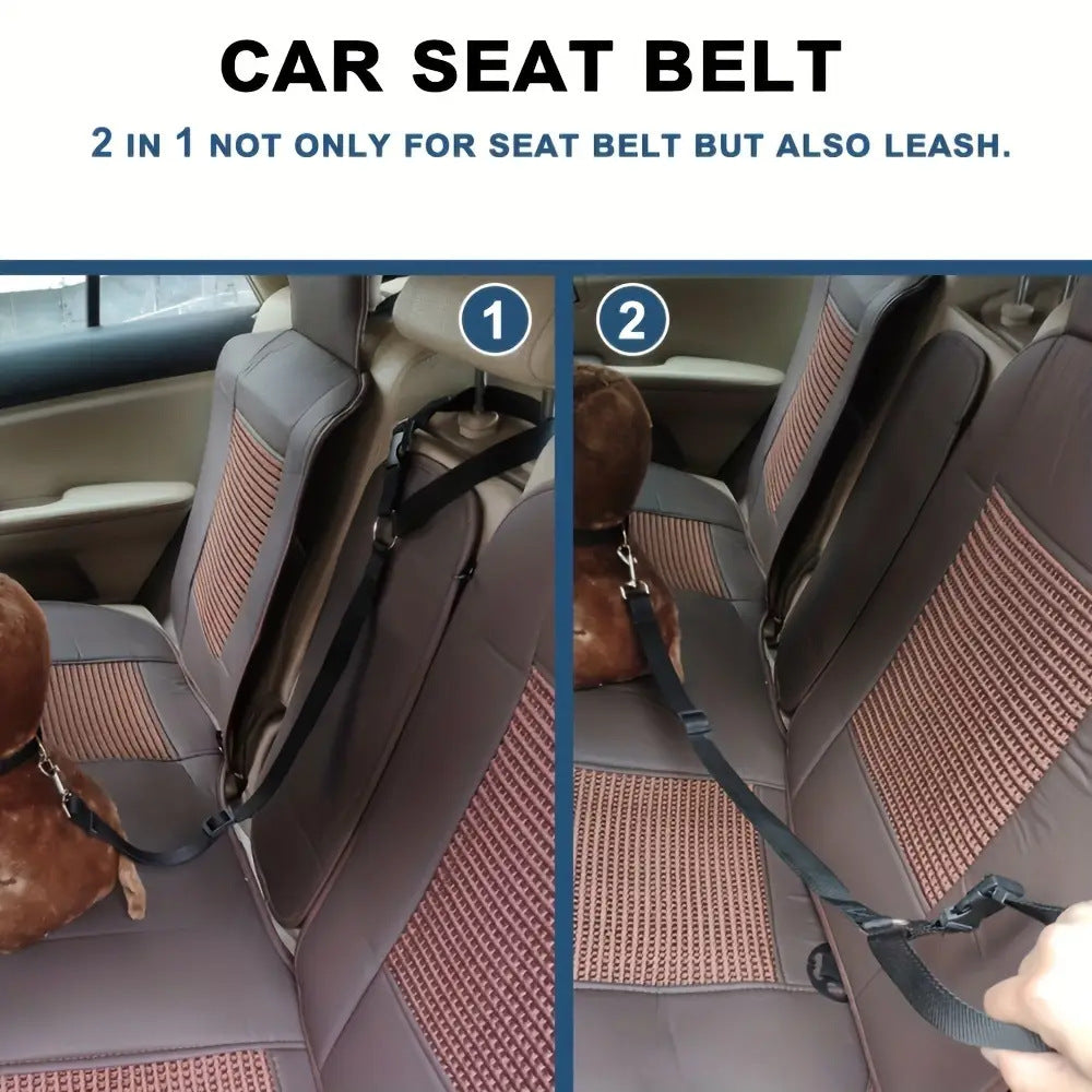 EasyStrap Two-in-one - PAWCommand