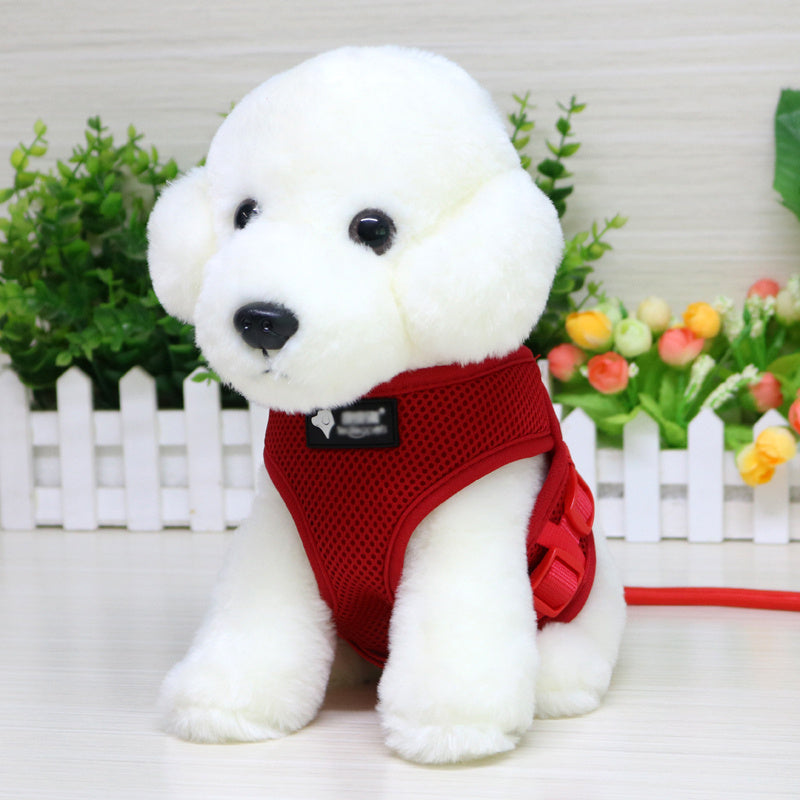 Dog leash & Harness Combo - PAWCommand