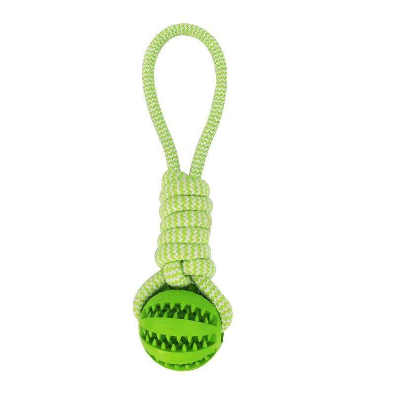 Tooth Cleaning rope - PAWCommand
