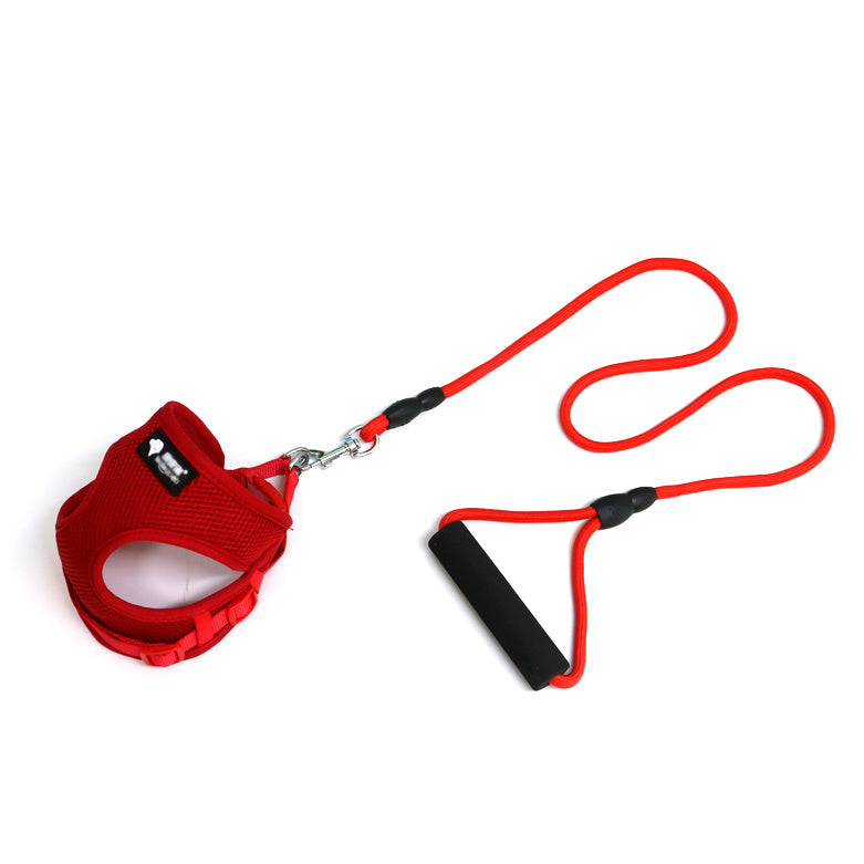 Dog leash & Harness Combo - PAWCommand
