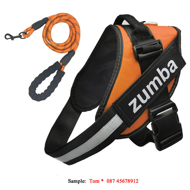 Strong Reflective Harness - PAWCommand