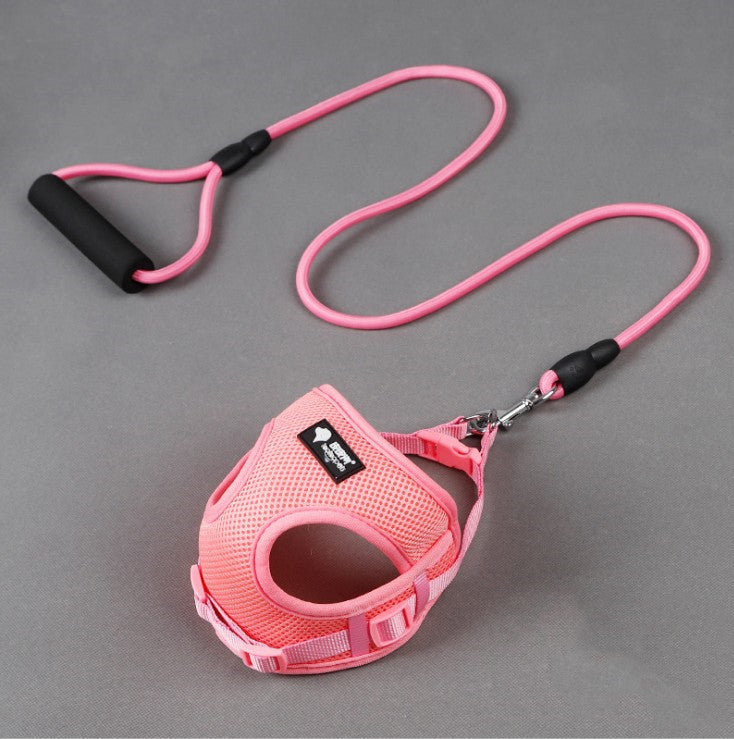 Dog leash & Harness Combo - PAWCommand