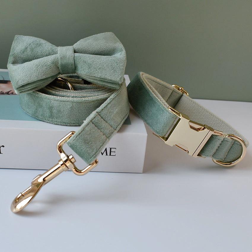 Velvet Mint Green Dog Collar + Leash - PAWCommand