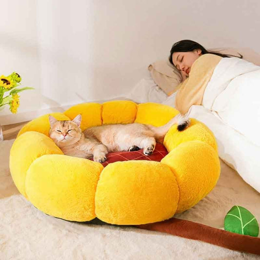 Sunflower Bed pawcommand