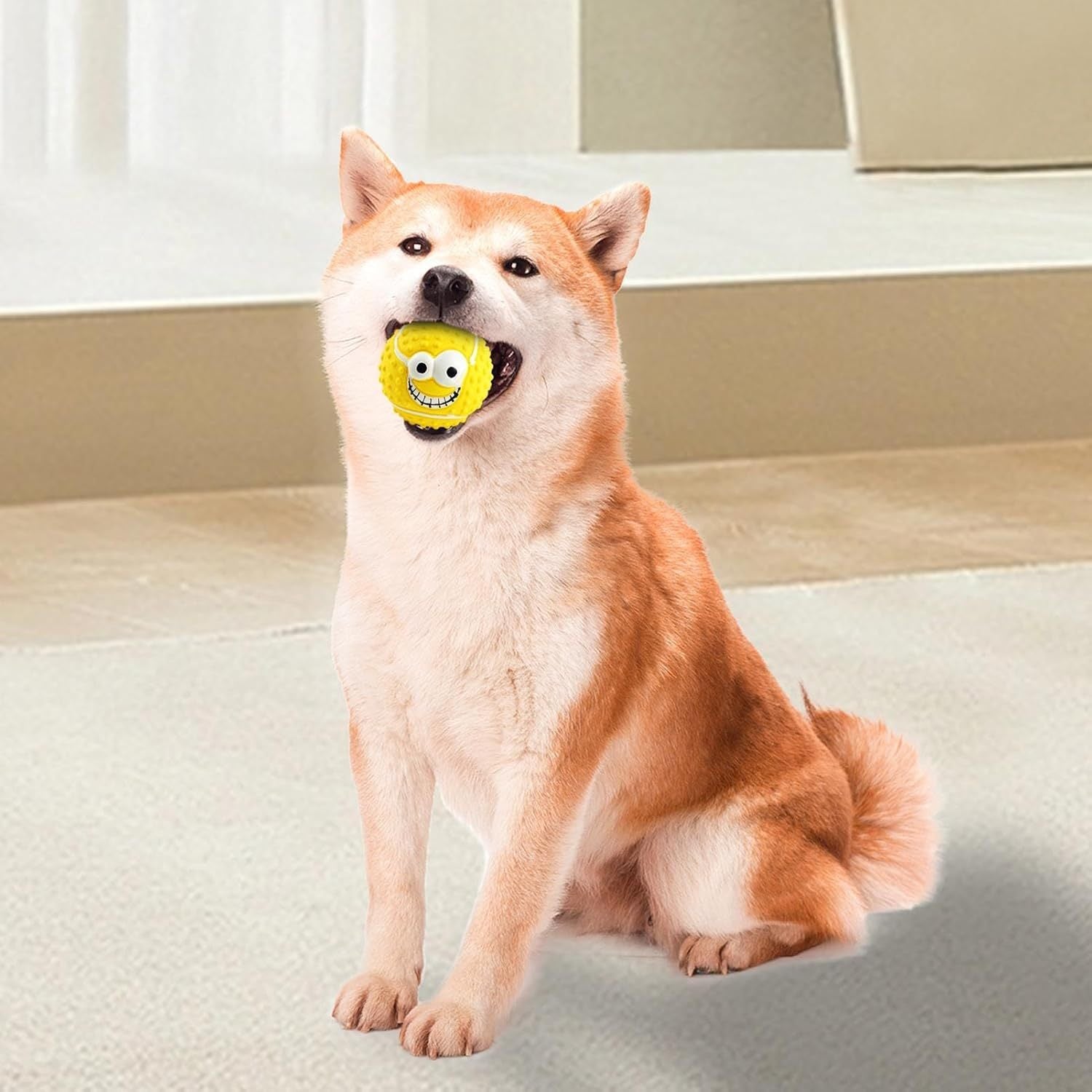 Latex Ball - PAWCommand