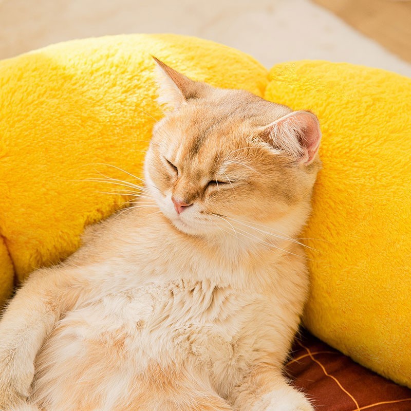 Sunflower Bed pawcommand