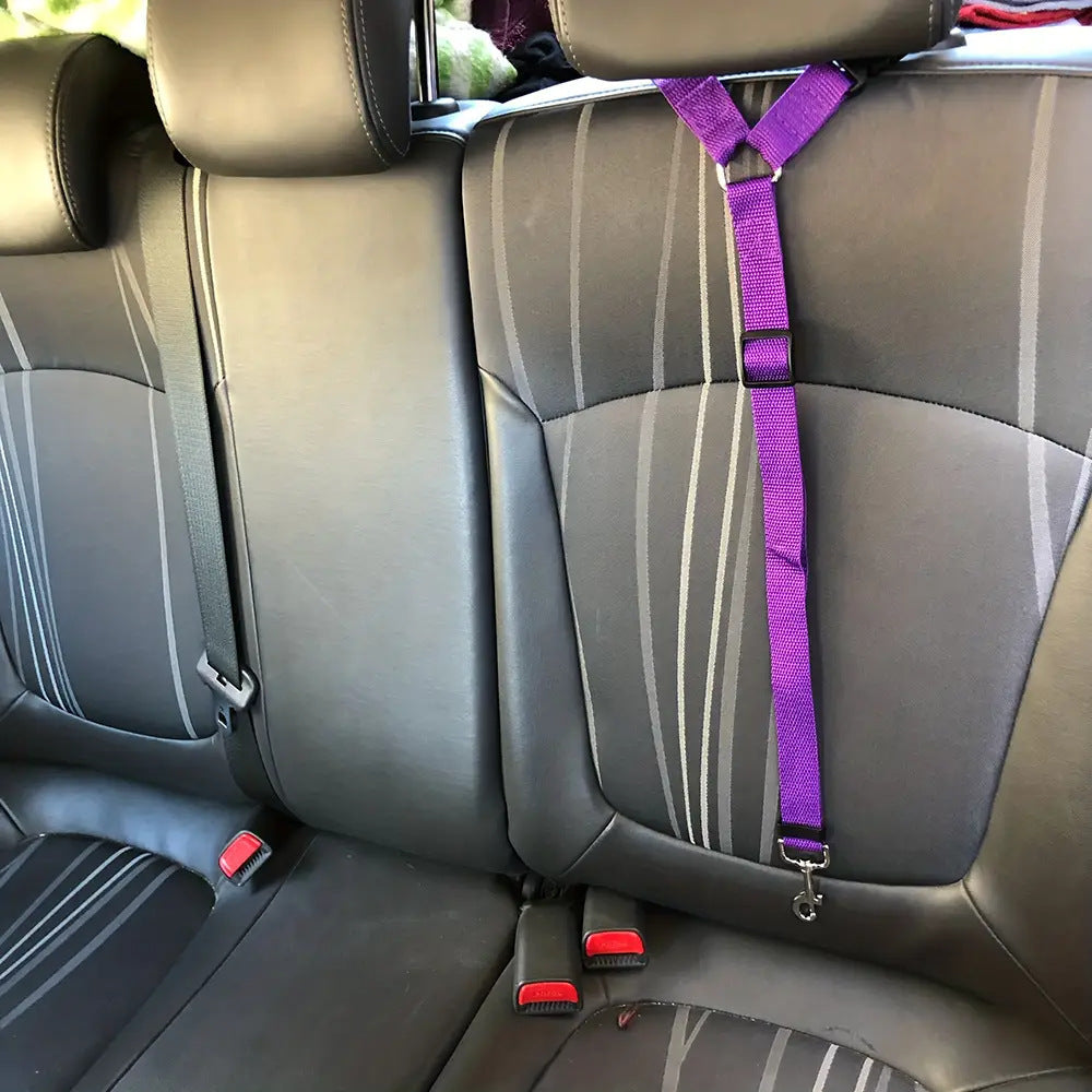 EasyStrap Two-in-one - PAWCommand