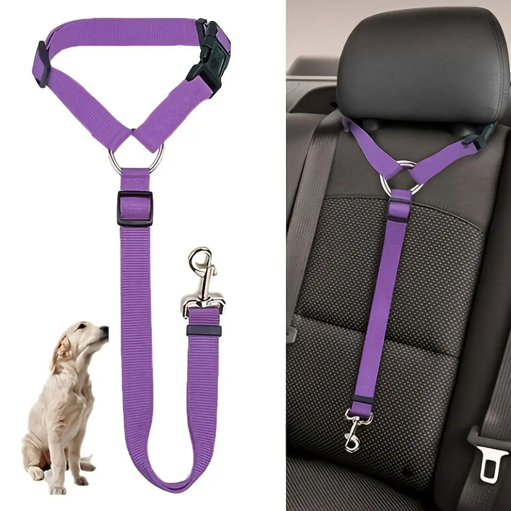 EasyStrap Two-in-one - PAWCommand