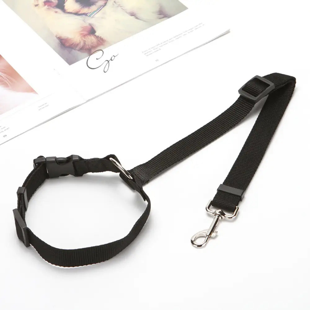 EasyStrap Two-in-one - PAWCommand