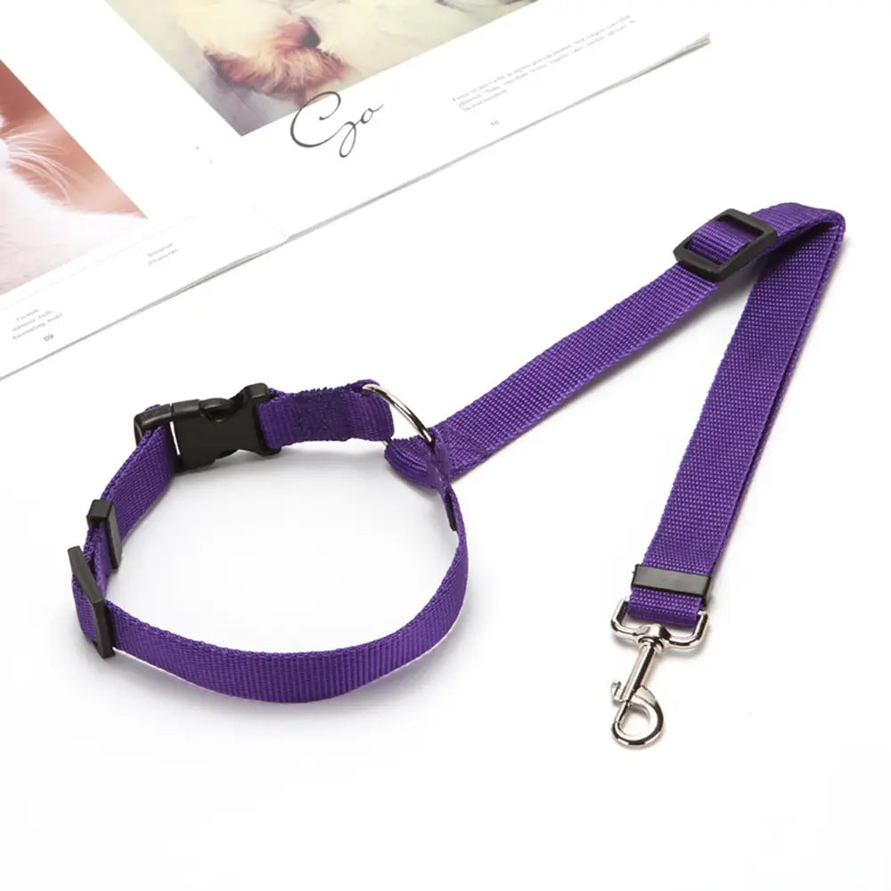 EasyStrap Two-in-one - PAWCommand