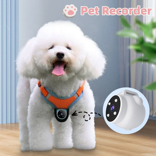 SeeCollar Dogs & Cats - PAWCommand