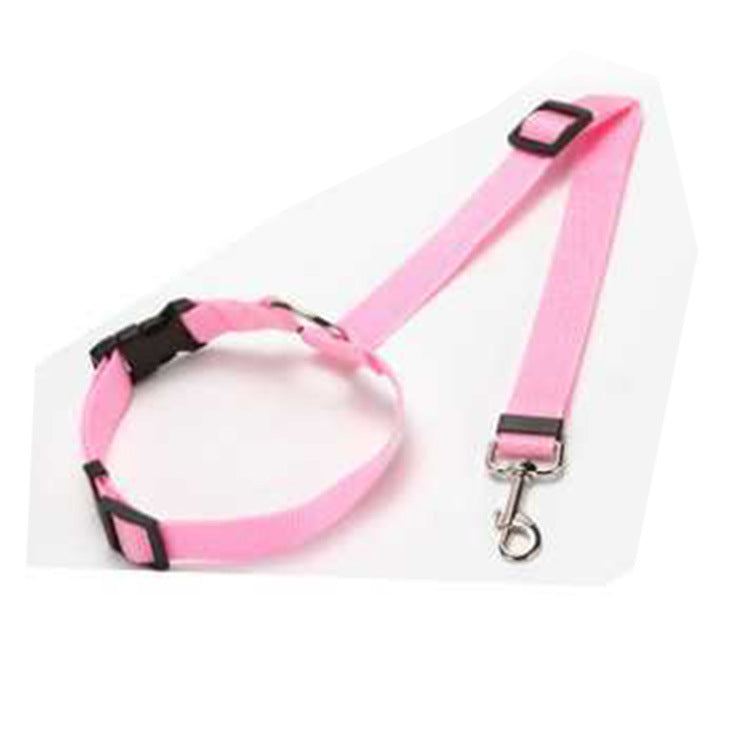 EasyStrap Two-in-one - PAWCommand