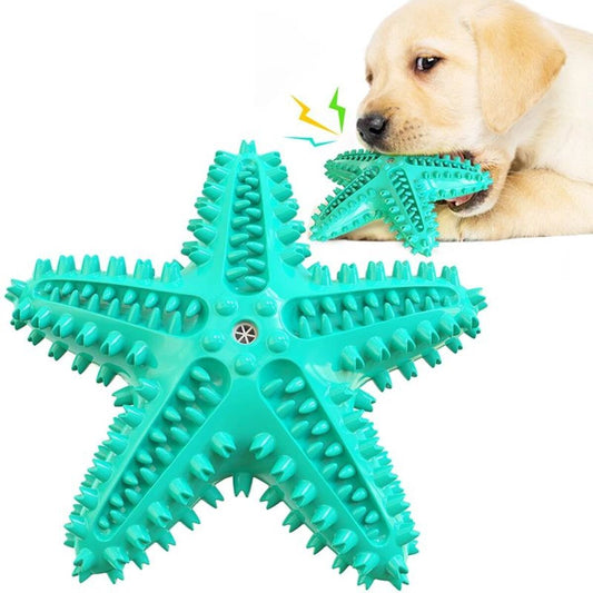 Star fish chew toy - PAWCommand