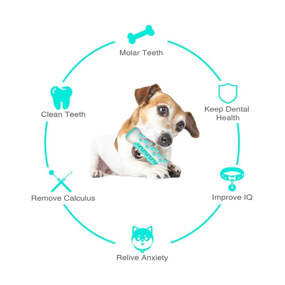 Dog Squeaky Toys For Aggressive Chewers - PAWCommand