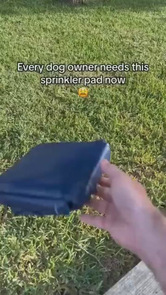 1.mp4